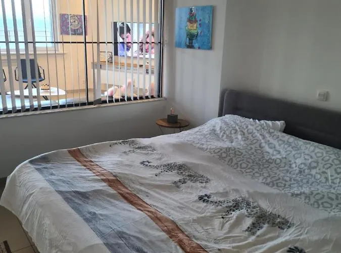 Frontaal Gelijkvloers Seaview 80m² 2 Slp Apartmán Ostende